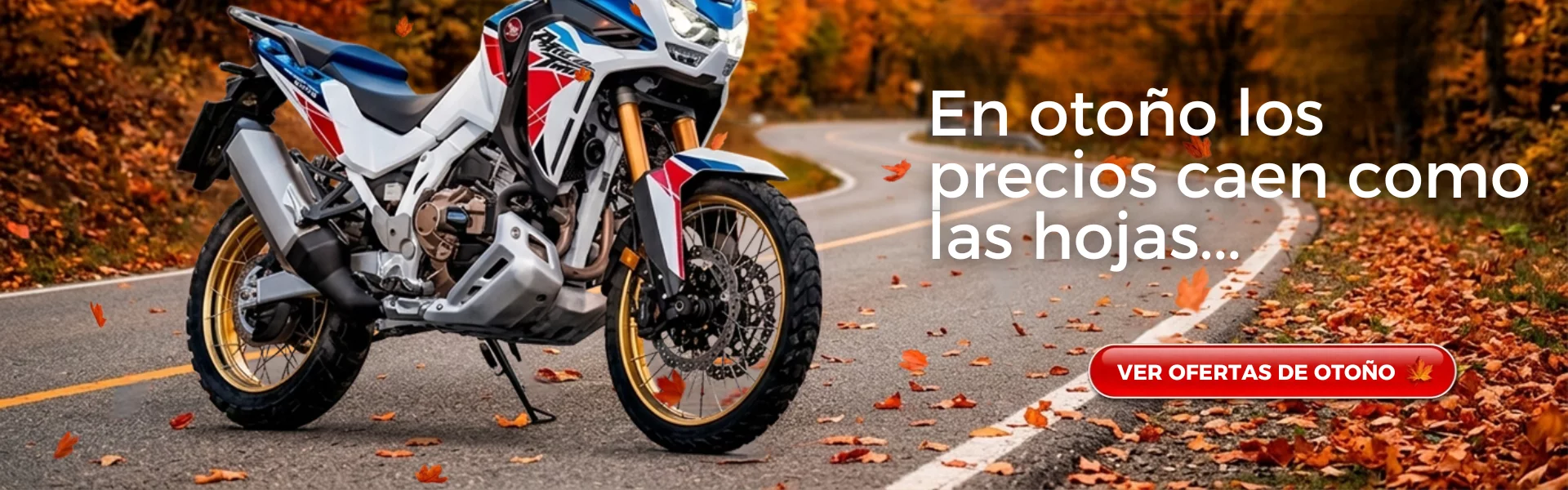 Ofertas Otoño Ocasionista